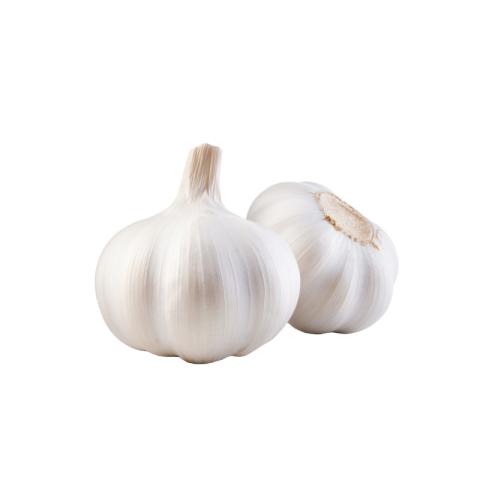 Garlic png transparent free download