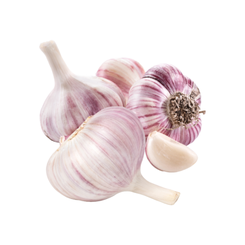 Garlic png transparent background