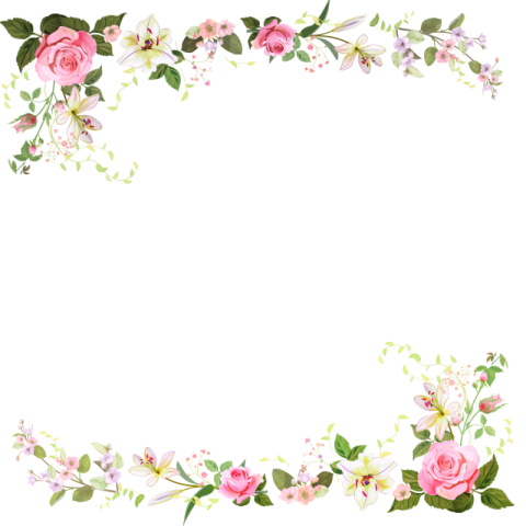 lily flower png background transparent