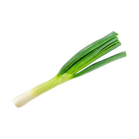 Onion leaves png transparent