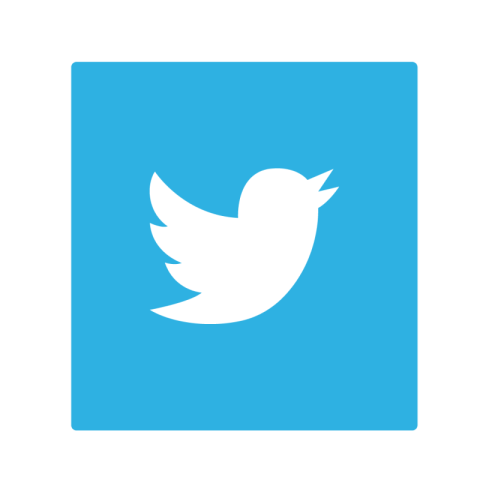 Old twitter logo transparent
