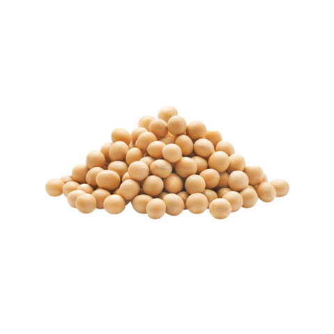 Transparent soybean png