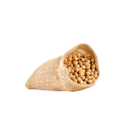 Soya beans transparent png image