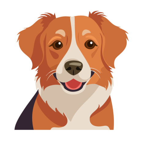 Dog png IMage