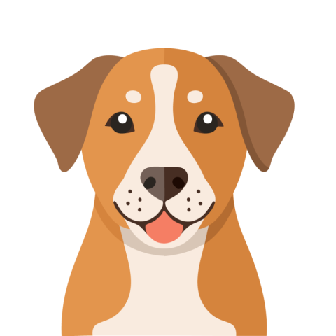 Dog Transparent Image