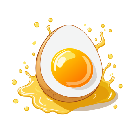 Egg png hd