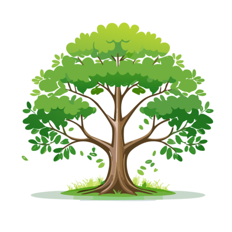 Tree Png