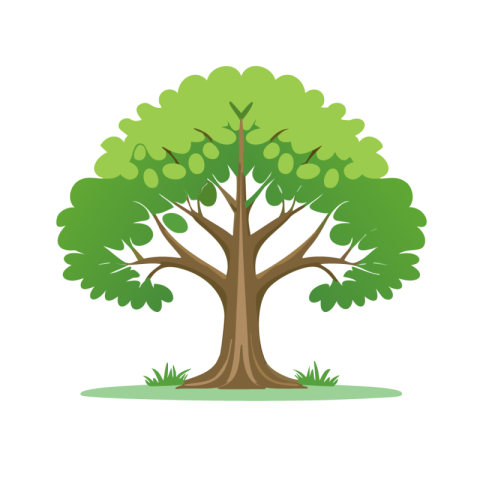Tree png Transparent