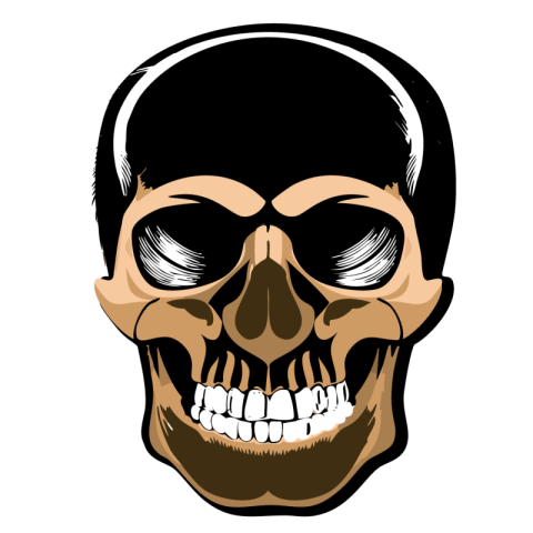 Human skull png