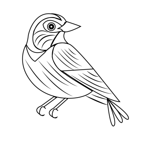 Bird Transparent png image
