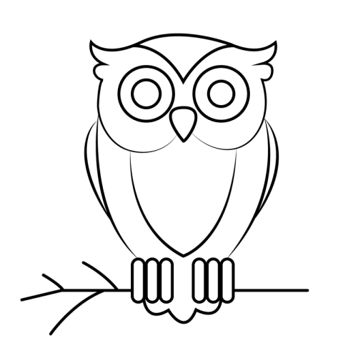 Owl Png