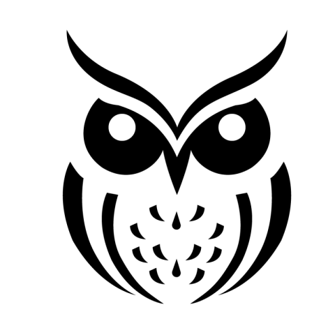 Owl png IMage