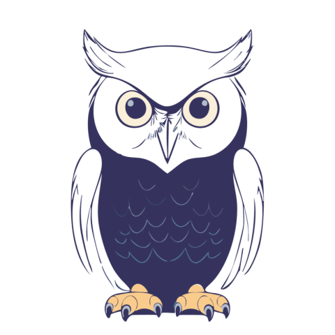 Owl Vector Png