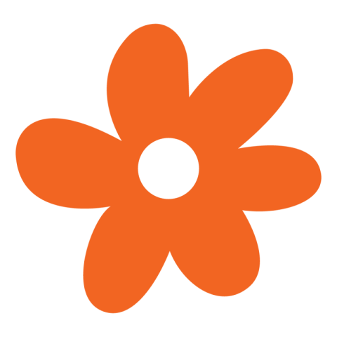 Flower Png hd