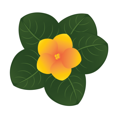 Vector Flower Png