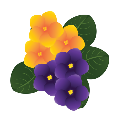 Flower Images Png hd