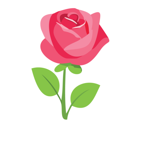 Rose Png Transparent