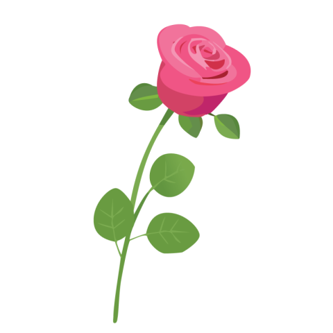 Rose Png Flower