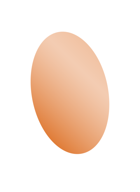 Egg png