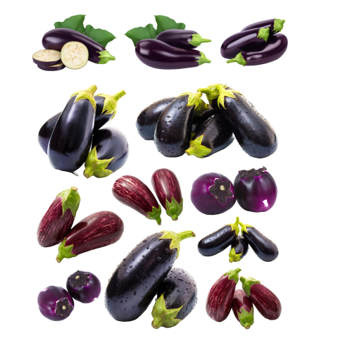 Brinjal png images free download