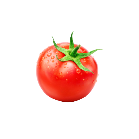 Tomato png free