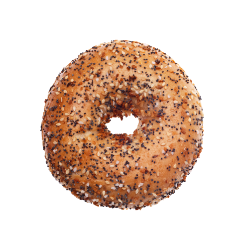 Everything bagel png transparent